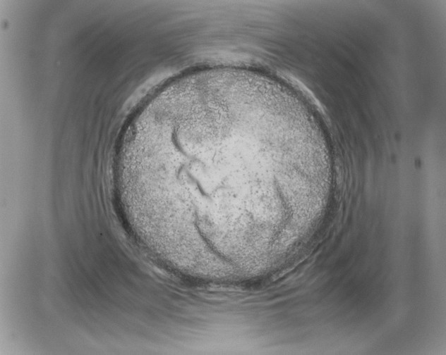 X0000086080487200704202155