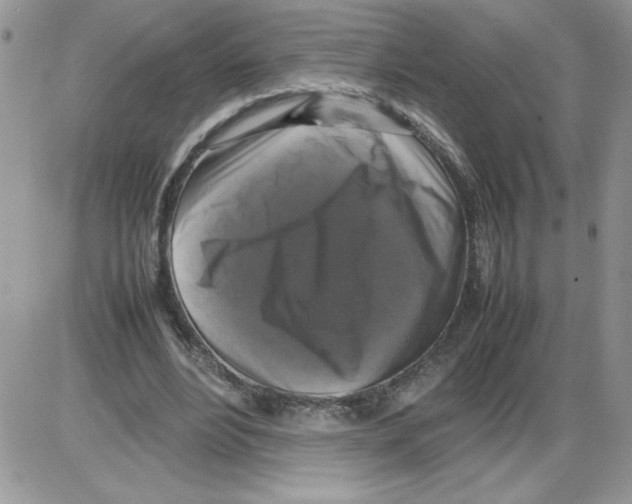 X0000086080488200704202155