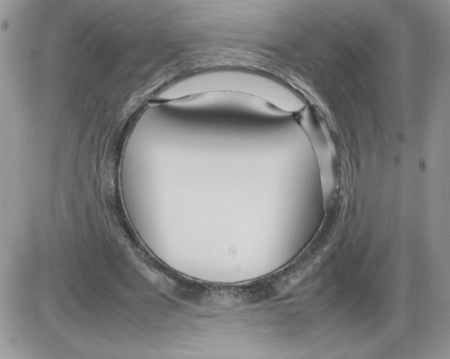 X0000086080489200704202155