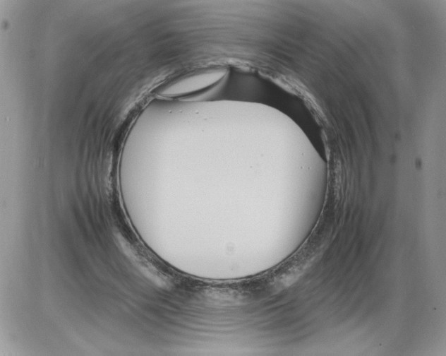 X0000086080490200704202155