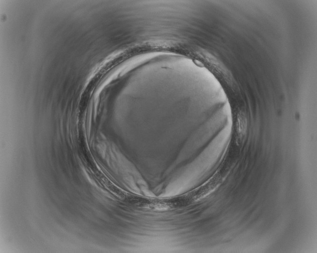 X0000086080492200704202155