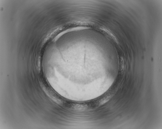 X0000086080494200704202155