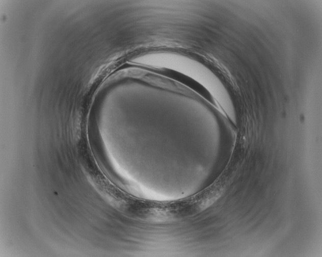 X0000086080496200704202155