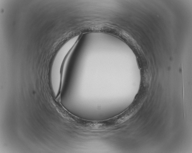 X0000086080497200704202155