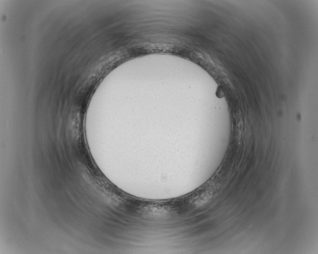 X0000086080498200704202155