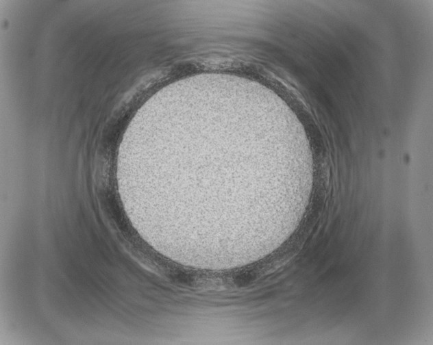 X0000086080499200704202155