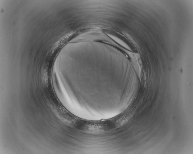 X0000086080500200704202155