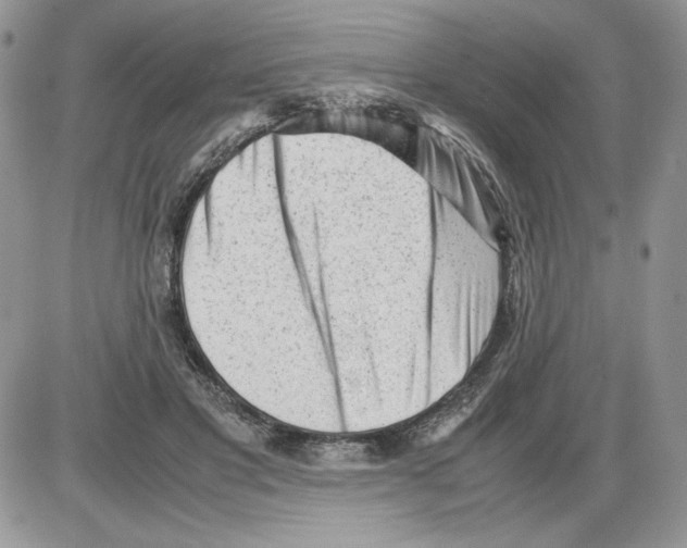 X0000086080501200704202154