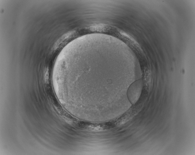 X0000086080502200704202154