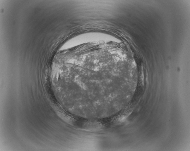 X0000086080503200704202154