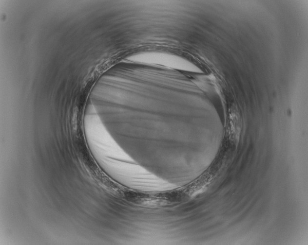 X0000086080504200704202154