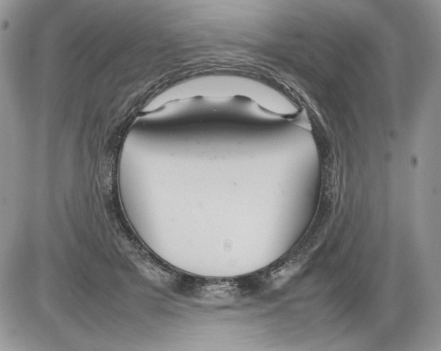 X0000086080505200704202154