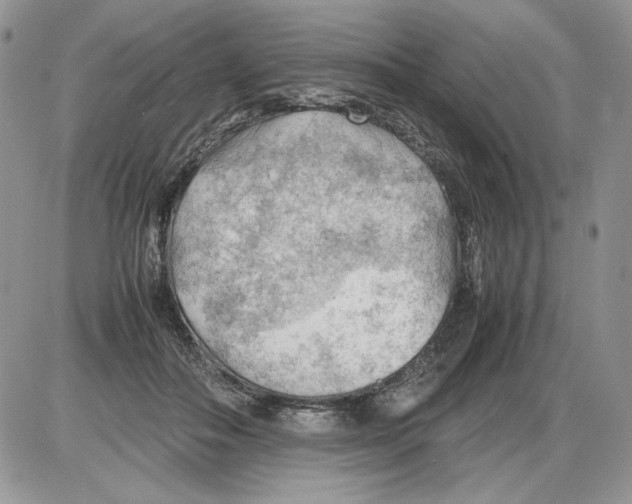 X0000086080506200704202154