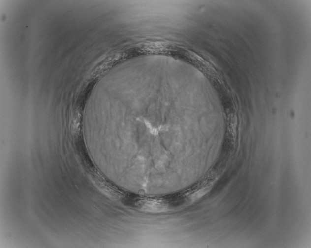 X0000086080507200704202154