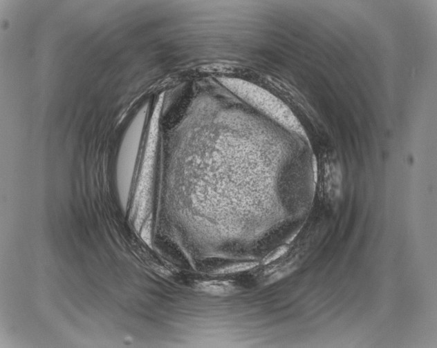 X0000086080508200704202154