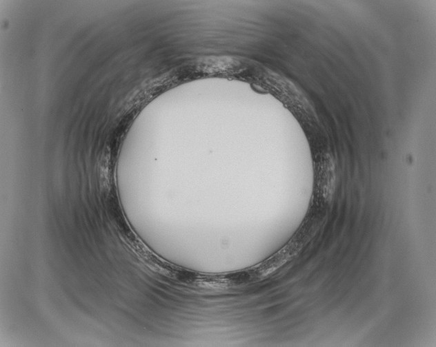 X0000086080510200704202154