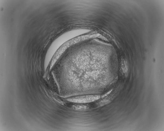 X0000086080512200704202154