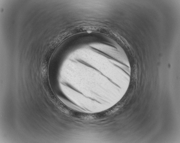 X0000086080513200704202154