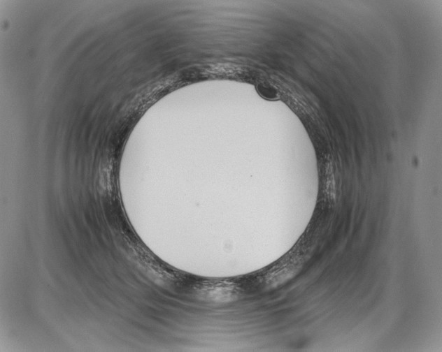 X0000086080514200704202154