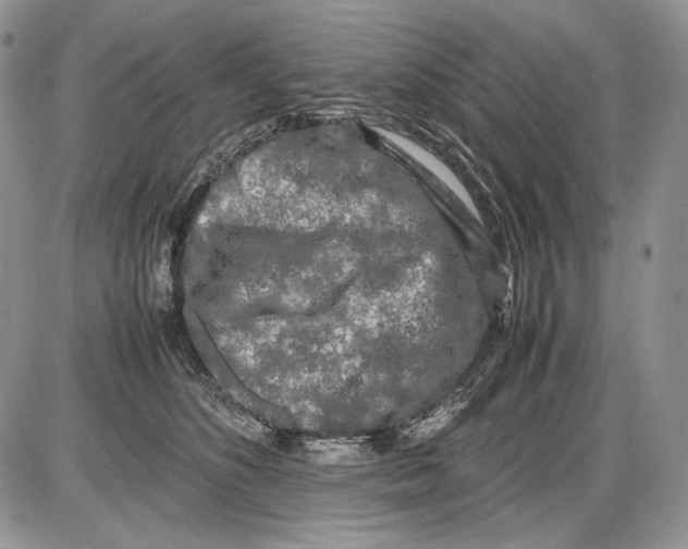 X0000086080516200704202154