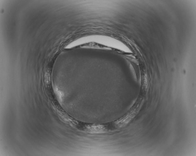 X0000086080517200704202154