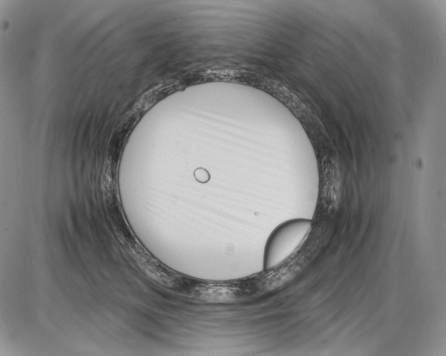 X0000086080518200704202154