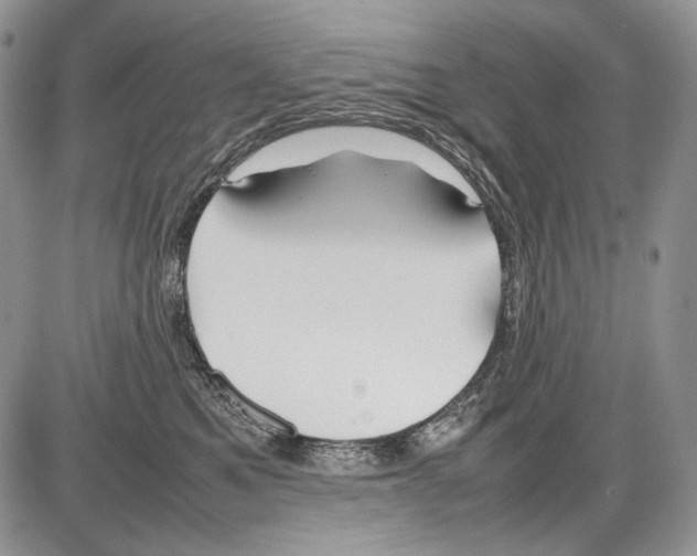 X0000086080521200704202154