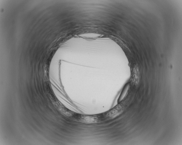 X0000086080522200704202154