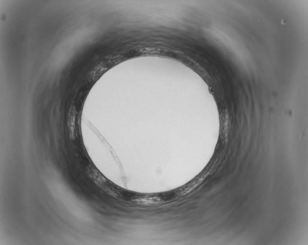 X0000086080525200704202154