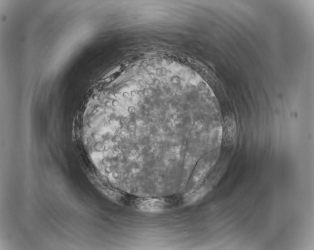 X0000086080527200704202154