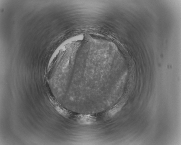 X0000086080528200704202154