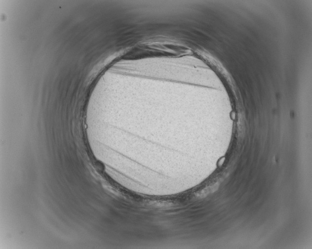 X0000086080529200704202153