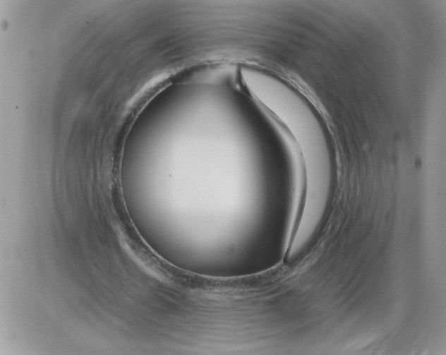 X0000086080530200704202153