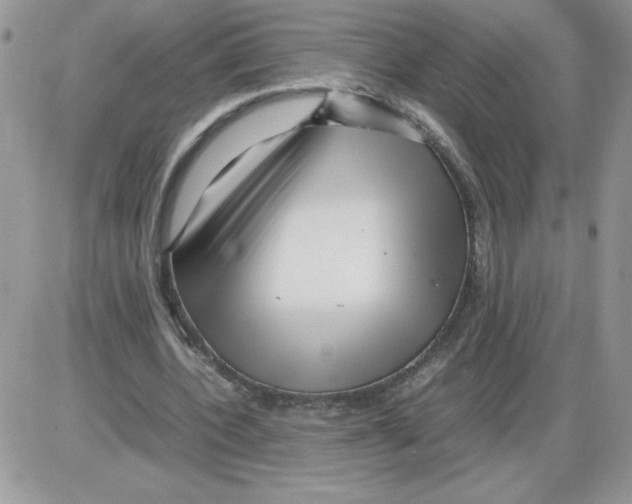 X0000086080532200704202153