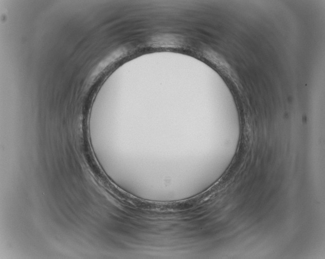 X0000086080535200704202153