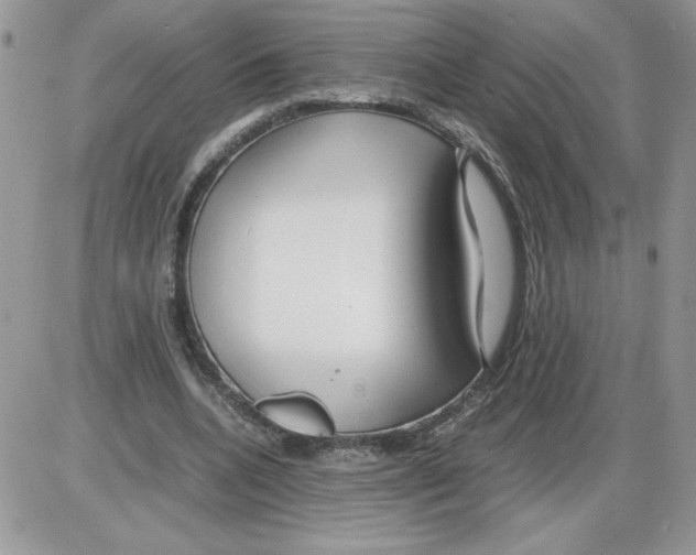 X0000086080536200704202153