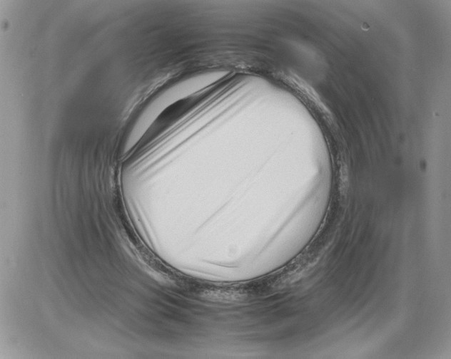 X0000086080537200704202153