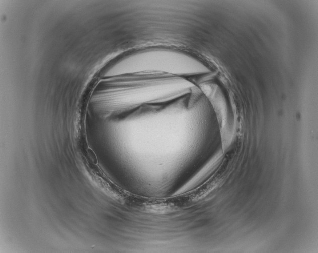 X0000086080540200704202153