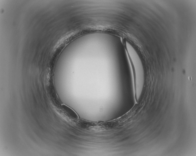 X0000086080544200704202154