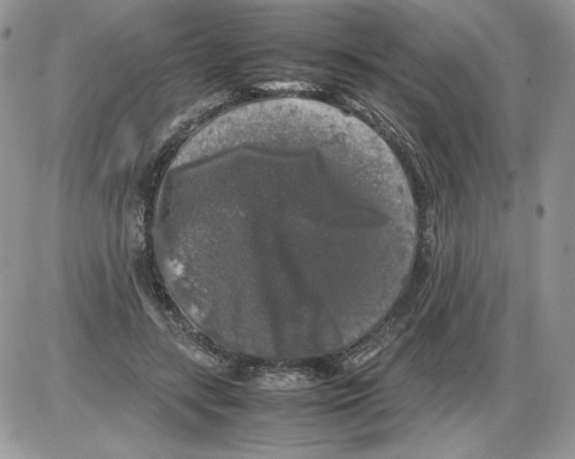 X0000086080547200704202154