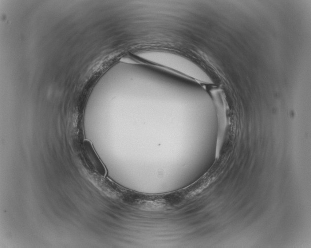 X0000086080548200704202154