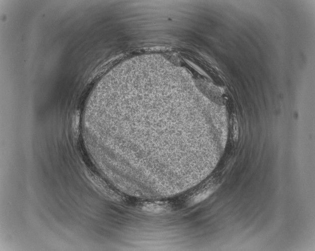 X0000086080550200704202154