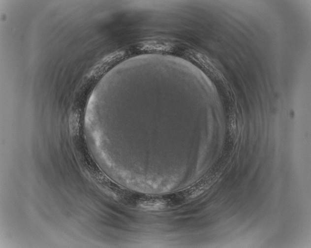 X0000086080551200704202154