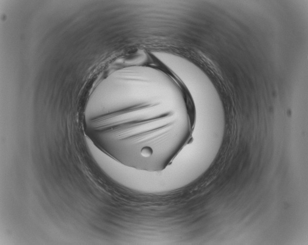 X0000086080552200704202154