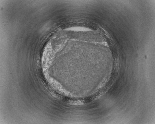 X0000086080553200704202154