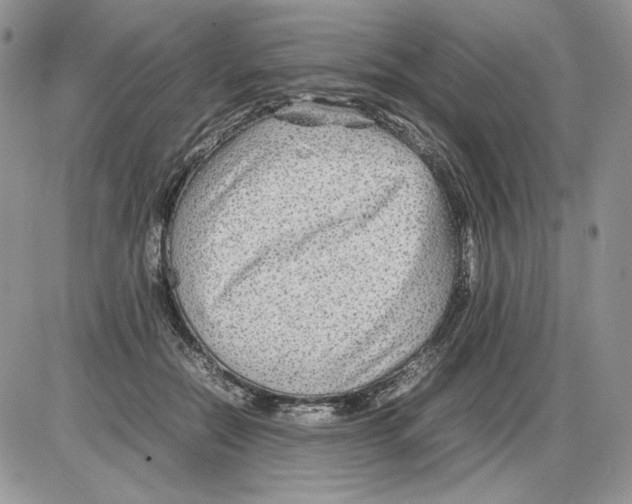 X0000086080554200704202154