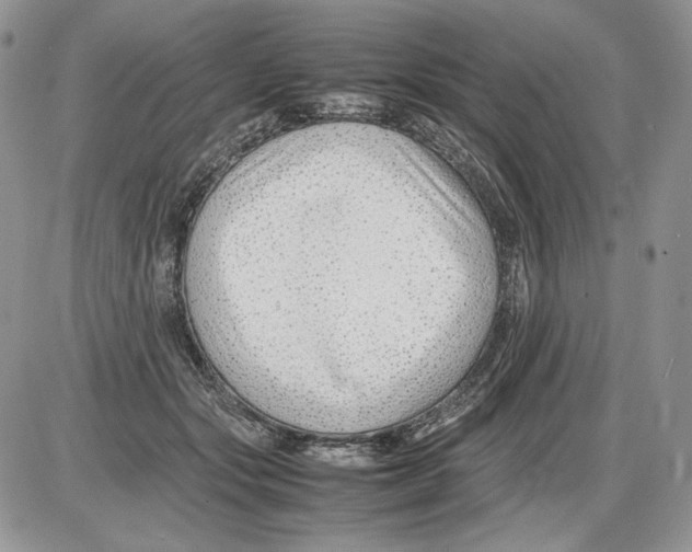 X0000086080557200704202154