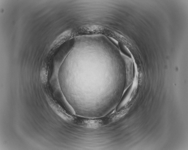 X0000086080558200704202154