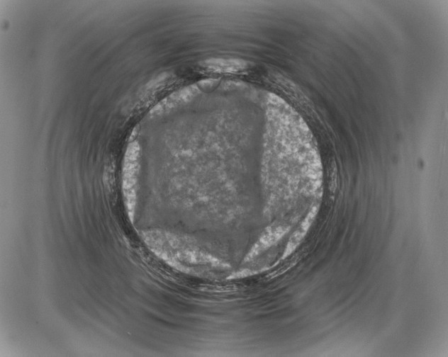 X0000086080559200704202154