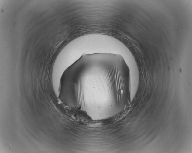 X0000086080560200704202154